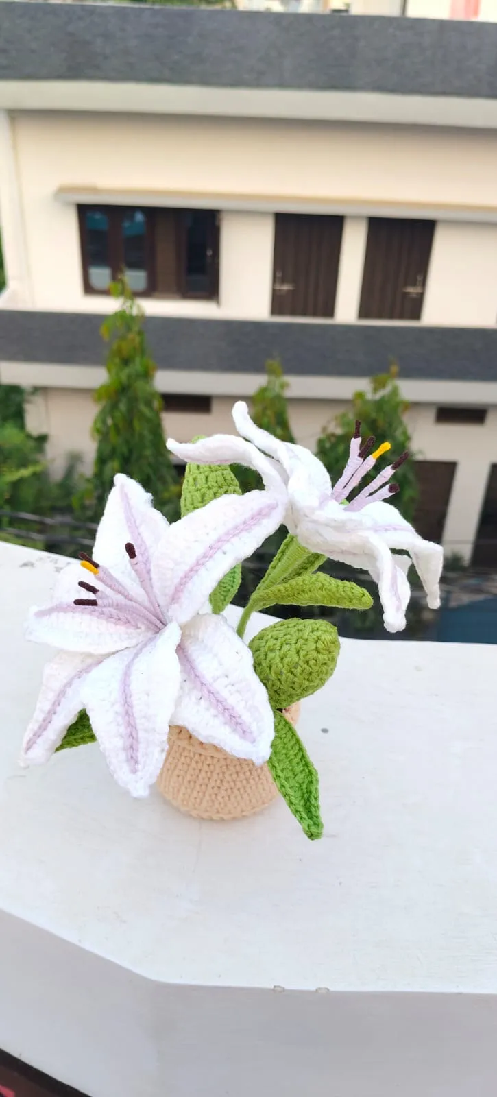 Dual water lily pot