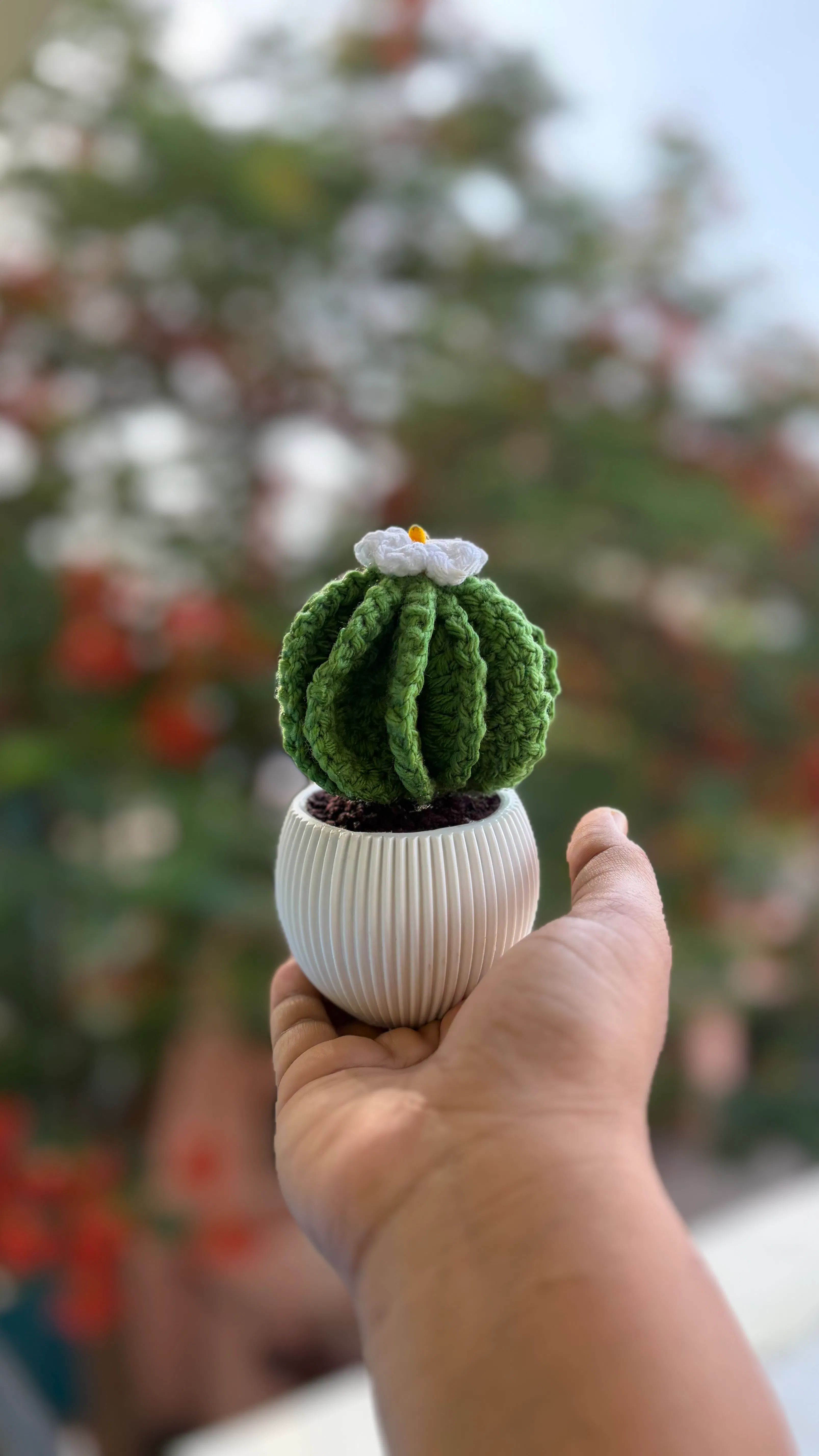 Cactus pot (Small)